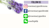 New Growth Scalp Oil, Rosemary Garden